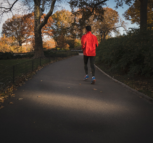 Person jogging along a forest trail